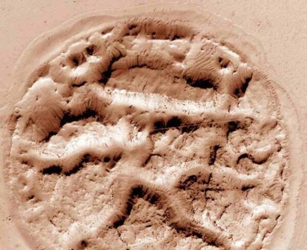 На Марсе найден напоминающий мозг рисунок