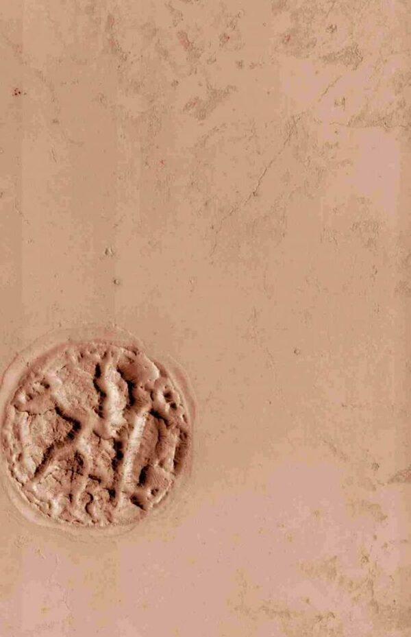 На Марсе уфологи обнаружили рисунок, напоминающий мозг