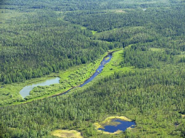 Из-за снежного покрова поиски были остановлены