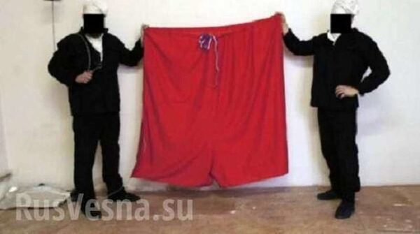 В Чехии судят троих человек, которые вывесили красные трусы над резиденцией президента 