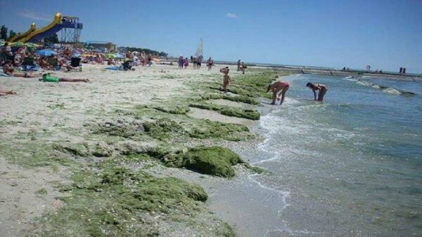 пляж азовского моря