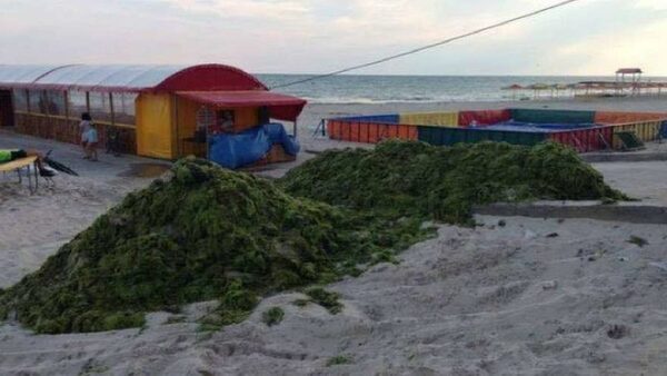 азовское морн