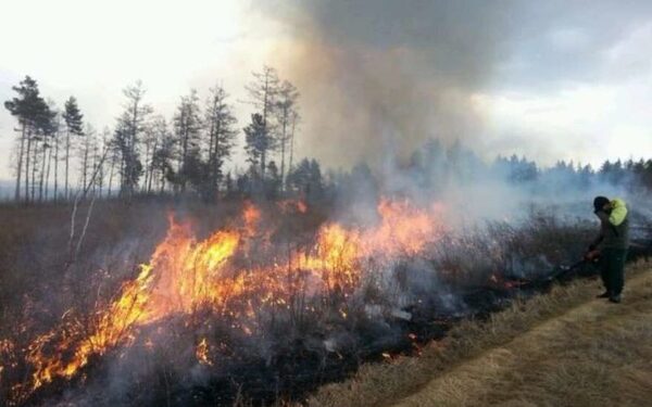 В Саратовской области сохраняется пожароопасная обстановка